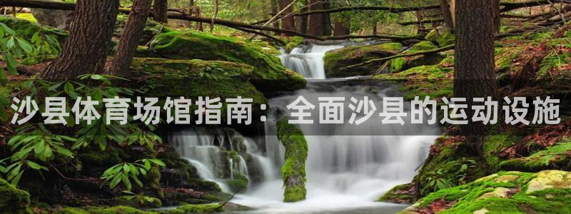 尊龙凯时 人生就是搏!平台