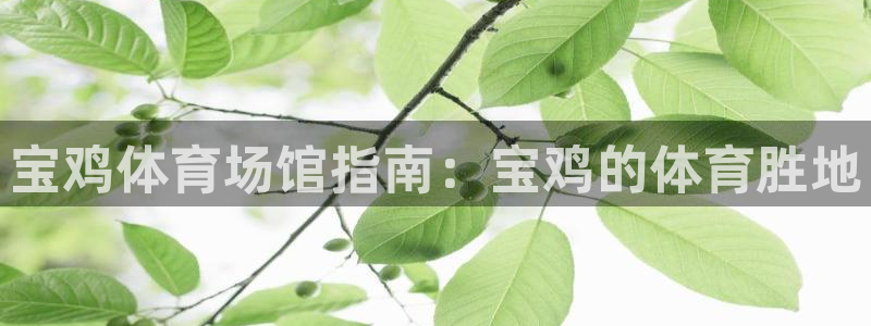 尊龙物流怎么样