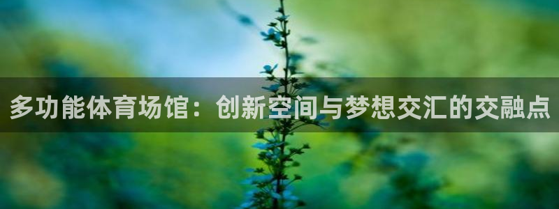 凯时网上官方网站