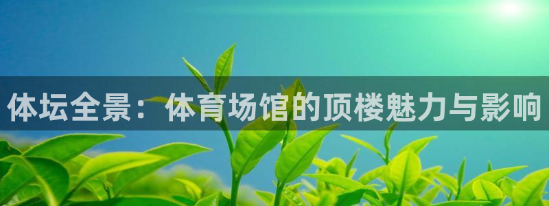 尊龙游戏官网游戏特色