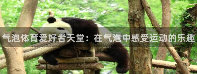 尊龙d88现金关注ag发财网