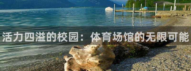 尊龙d88手机版下载