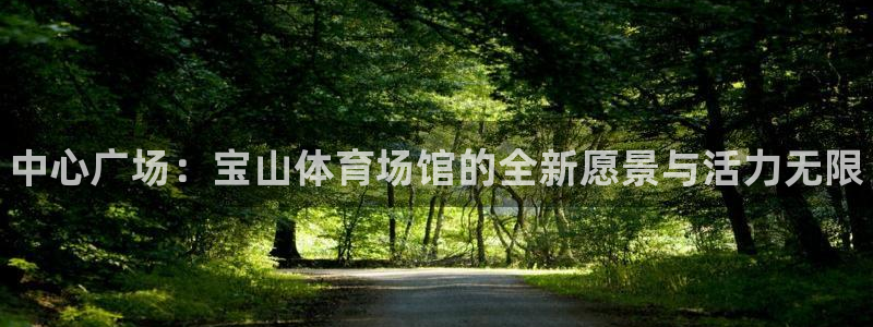 尊龙现金一下指导AG发财网