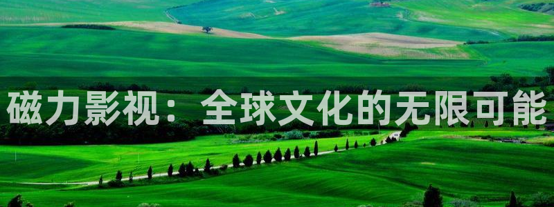 蓝光电影下载网站