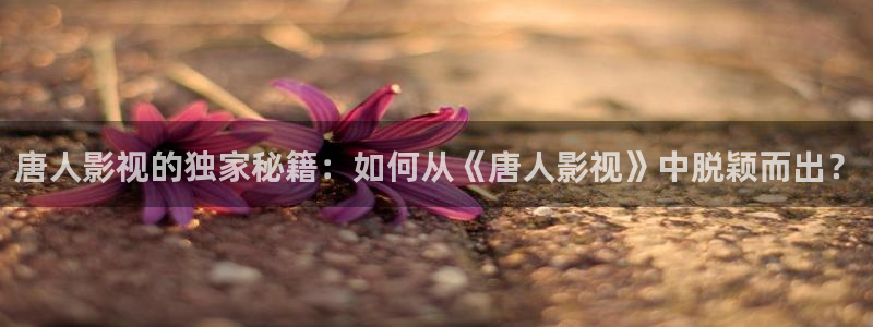 免费4k蓝光电影网站